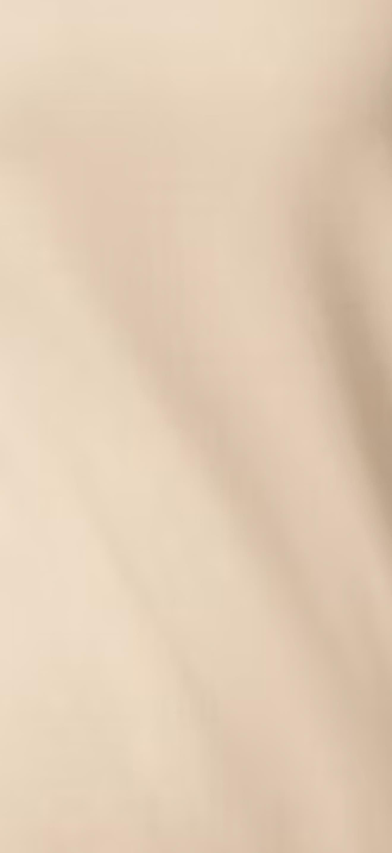 Still Waters Collective Sweatshirt