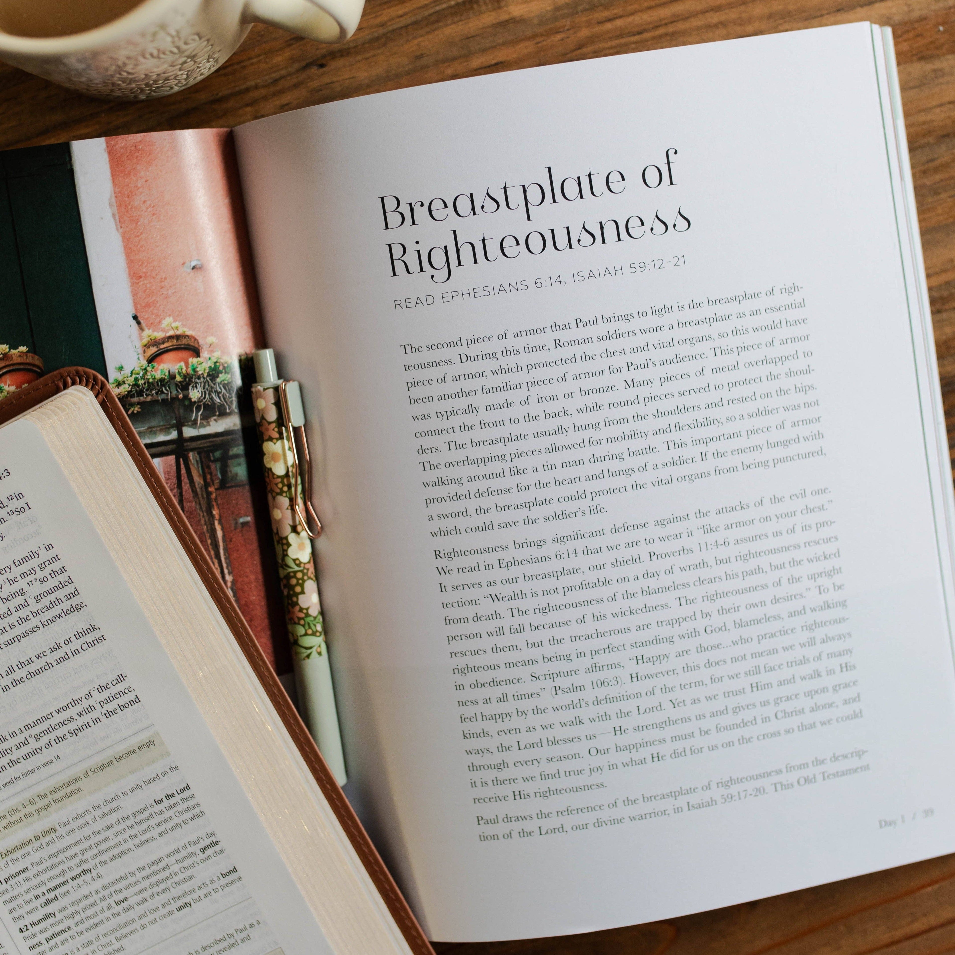 Stand Firm | Armor of God Study