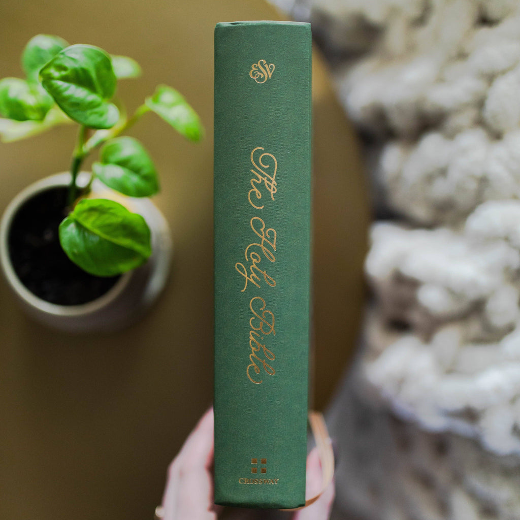 ESV Single Column Journaling Bible | Stained Glass Blooms