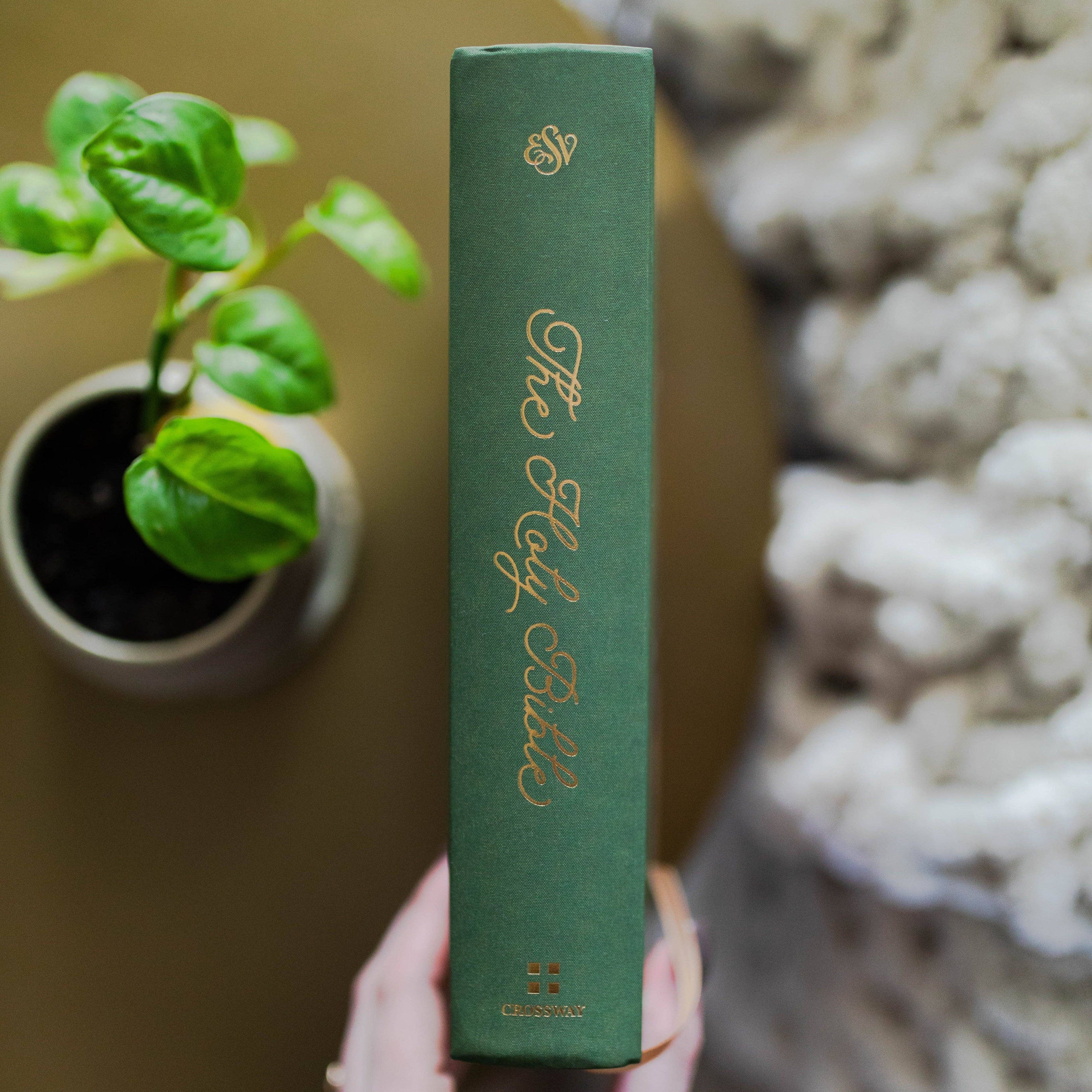 ESV Single Column Journaling Bible | Stained Glass Blooms