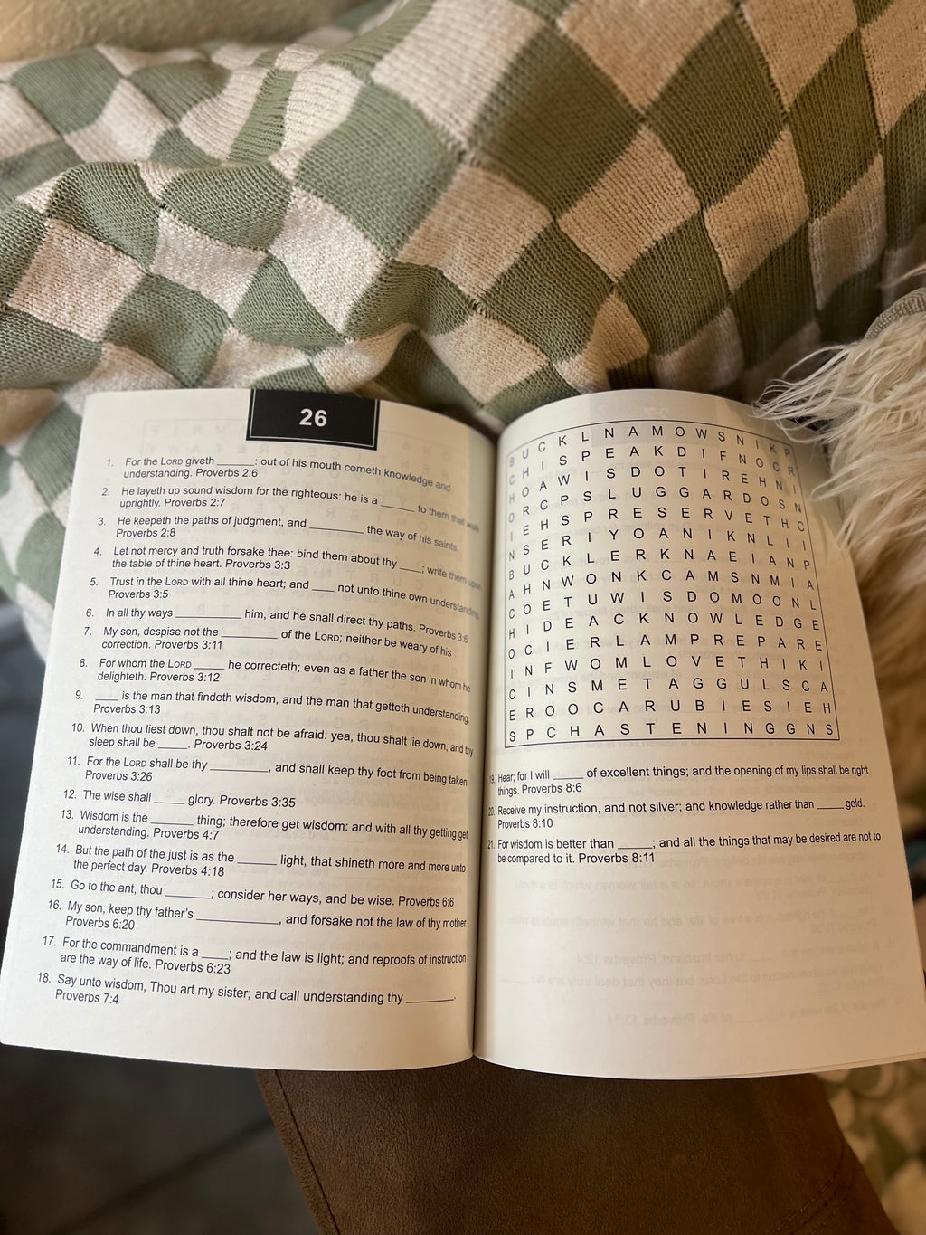 Bible Memory Verse Challenge Word Searches Large Print