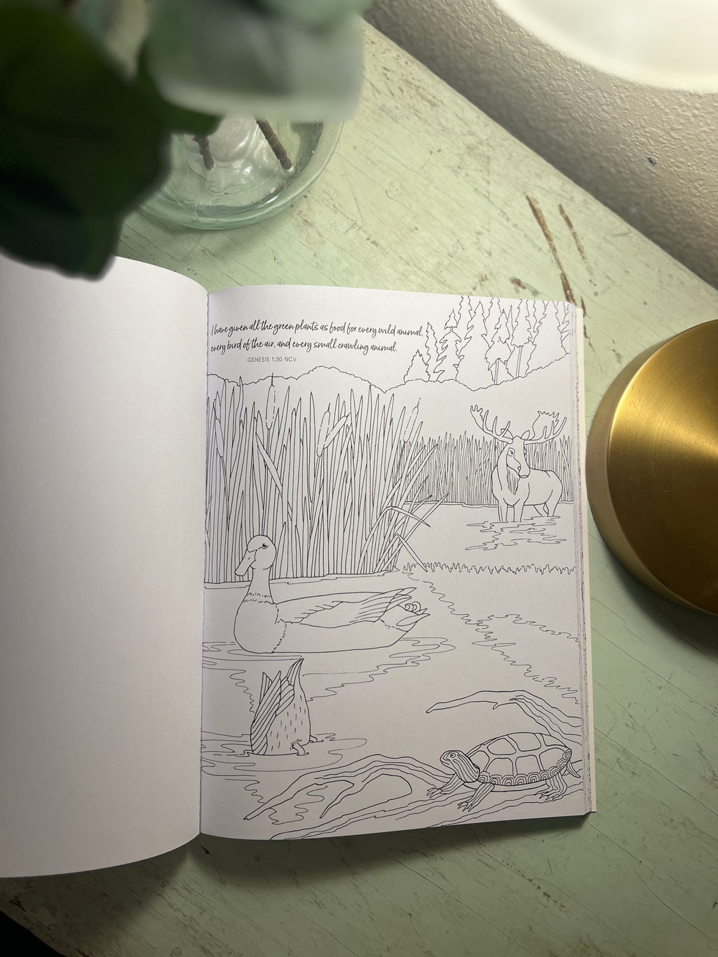 Amazing Grace Coloring Book