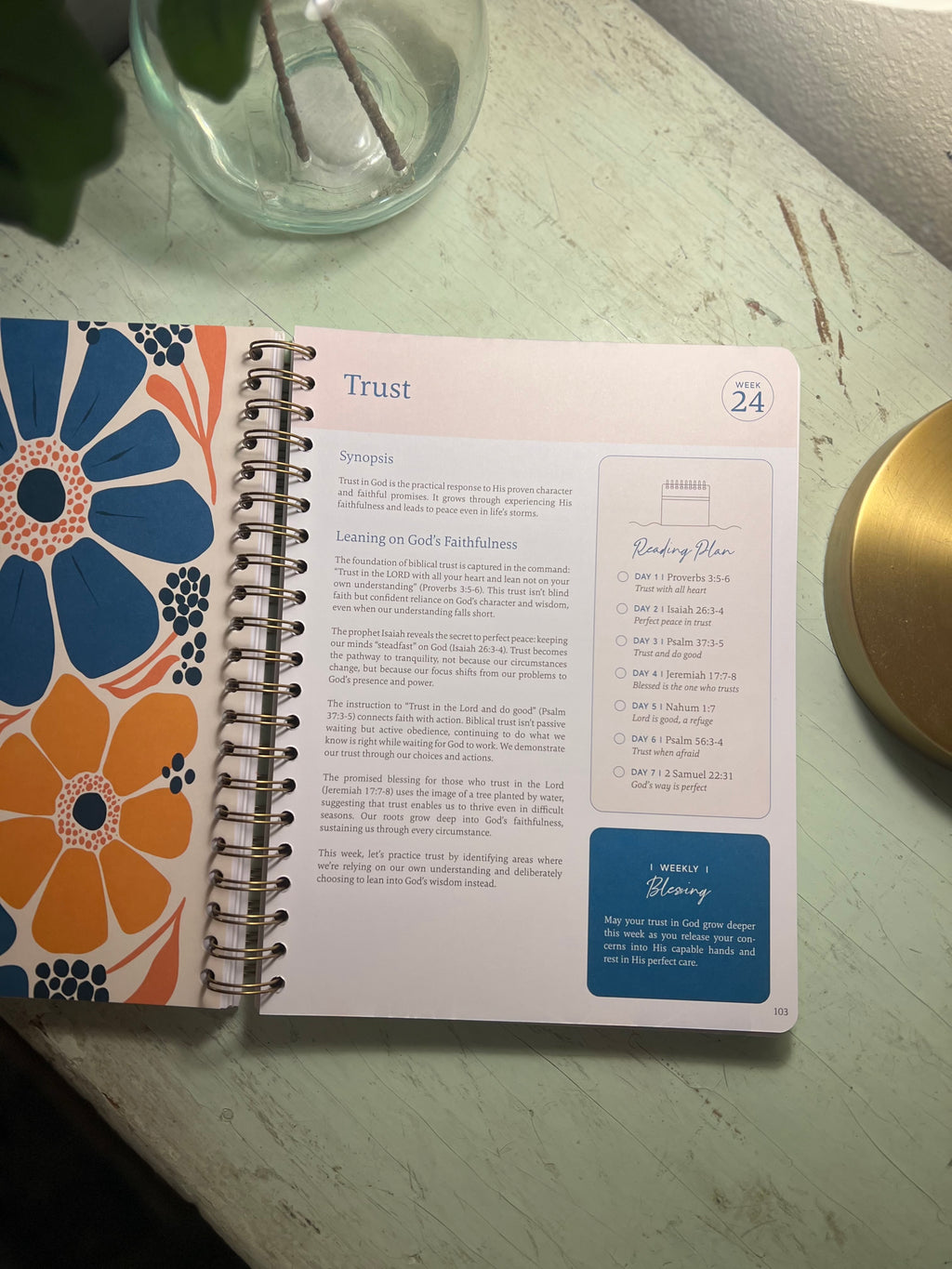 The Bible In A Year: A 52-Week Study