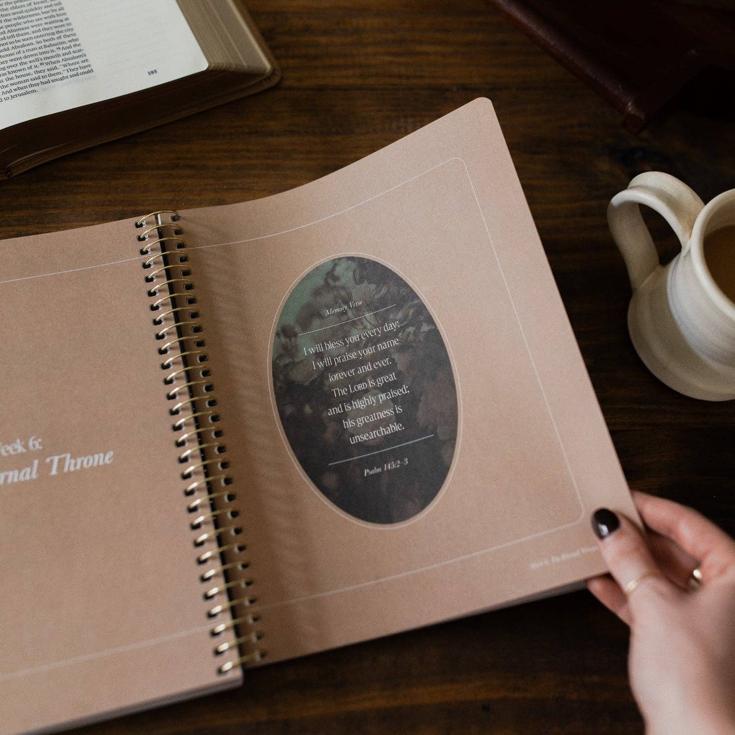 Peaks and Valleys: Learning to Look to Christ in Life's Highs and Lows | A Study on the Life of David