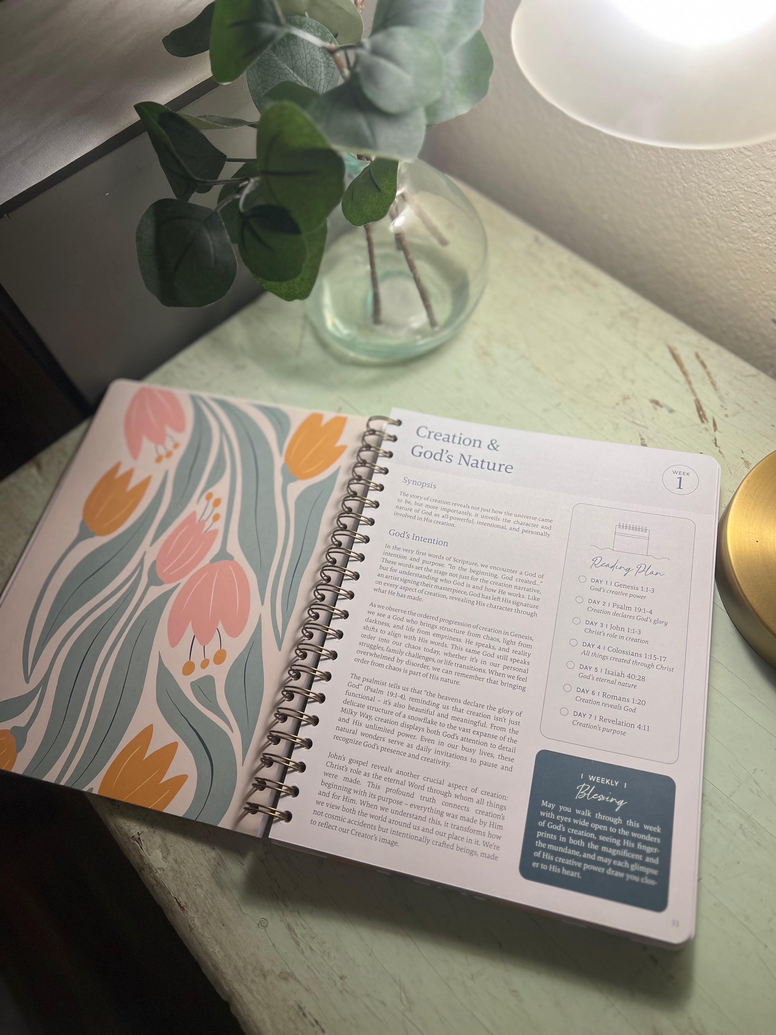 The Bible In A Year: A 52-Week Study