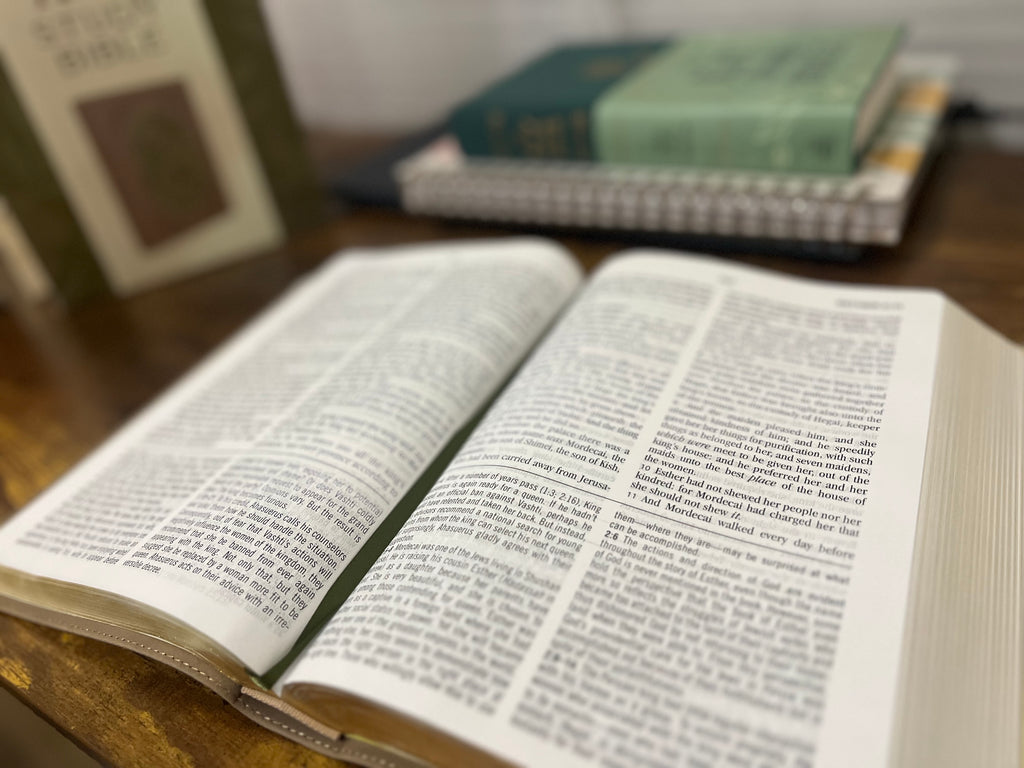 The KJV Study Bible, Large Print [Olive Branches]