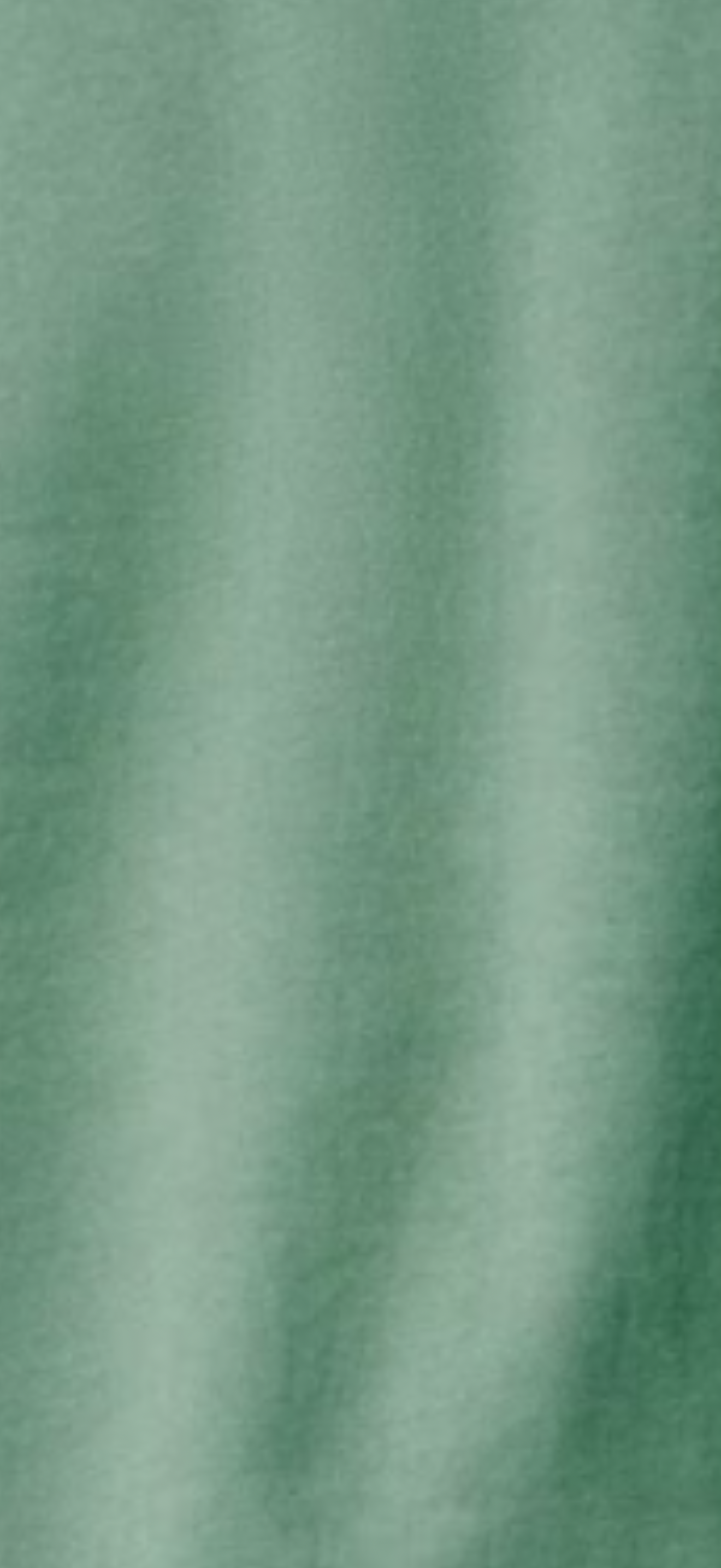 Still Waters Collective Sweatshirt