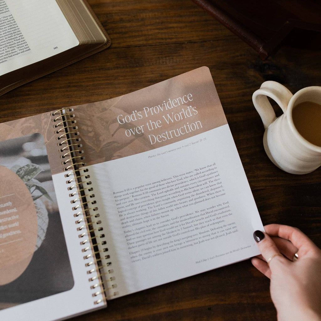 Peaks and Valleys: Learning to Look to Christ in Life's Highs and Lows | A Study on the Life of David