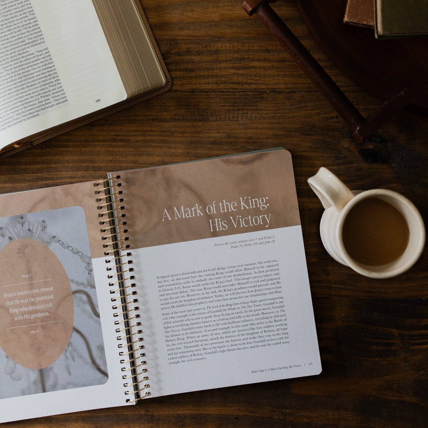 Peaks and Valleys: Learning to Look to Christ in Life's Highs and Lows | A Study on the Life of David