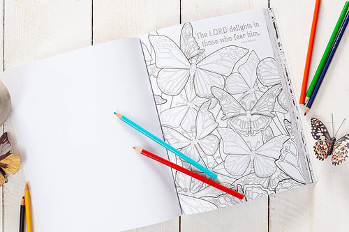 Bible Promises for You Coloring Book